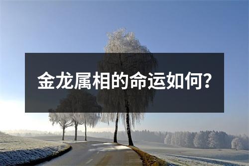 金龙属相的命运如何？