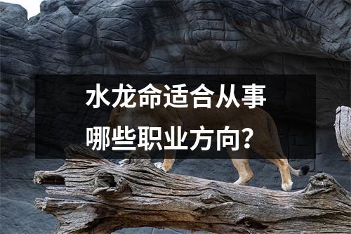 水龙命适合从事哪些职业方向？