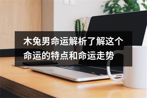 木兔男命运解析了解这个命运的特点和命运走势