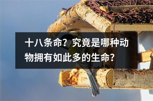 十八条命？究竟是哪种动物拥有如此多的生命？