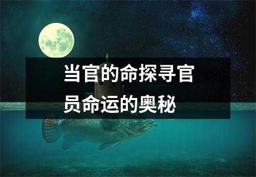 当官的命探寻官员命运的奥秘