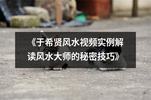 《于希贤风水视频实例解读风水大师的秘密技巧》