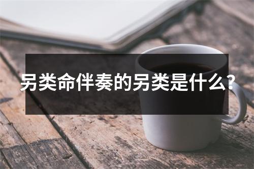 另类命伴奏的另类是什么？