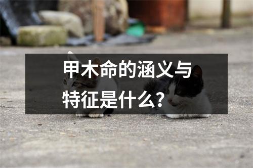 甲木命的涵义与特征是什么？