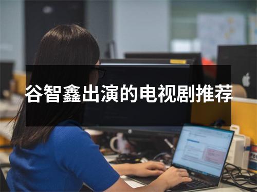 谷智鑫出演的电视剧推荐