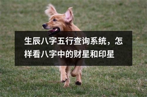 生辰八字五行查询系统，怎样看八字中的财星和印星
