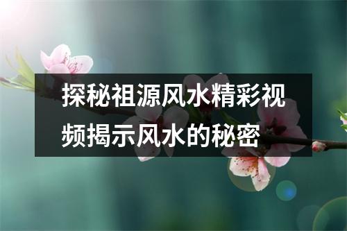 探秘祖源风水精彩视频揭示风水的秘密