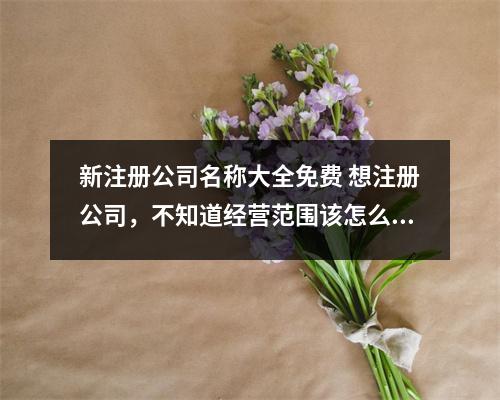 新注册公司名称大全免费 想注册公司，不知道经营范围该怎么选择，有何建议