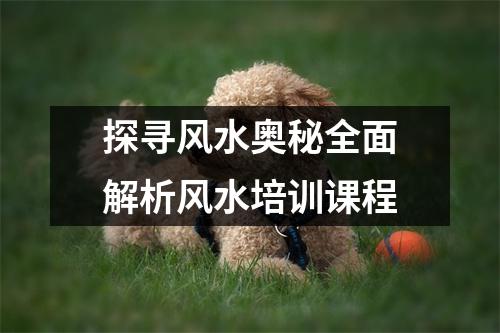 探寻风水奥秘全面解析风水培训课程