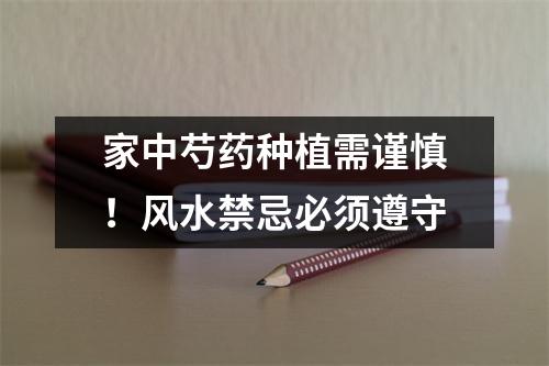家中芍药种植需谨慎！风水禁忌必须遵守