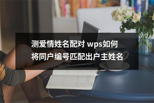 测爱情姓名配对 wps如何将同户编号匹配出户主姓名