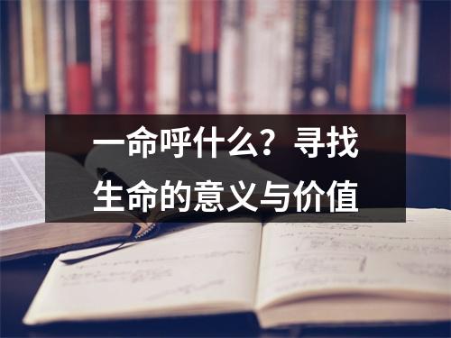 一命呼什么？寻找生命的意义与价值