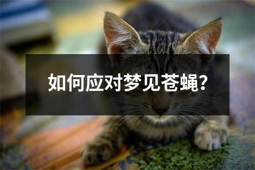 如何应对梦见苍蝇？