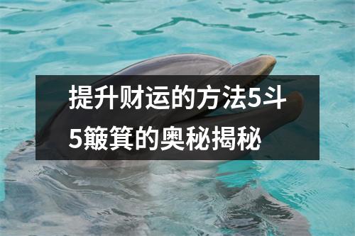 提升财运的方法5斗5簸箕的奥秘揭秘