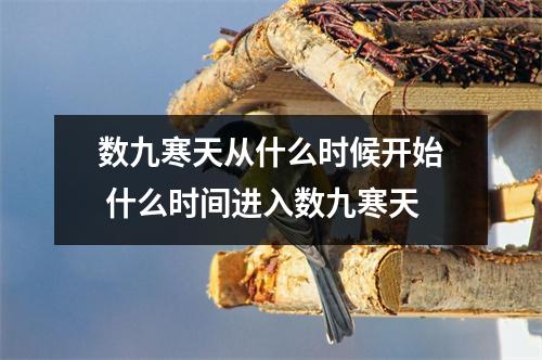 数九寒天从什么时候开始 什么时间进入数九寒天