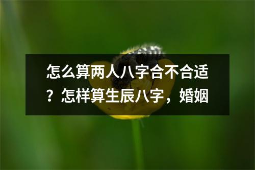 怎么算两人八字合不合适？怎样算生辰八字，婚姻