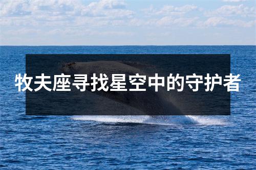 牧夫座寻找星空中的守护者