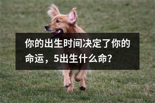 你的出生时间决定了你的命运，5出生什么命？