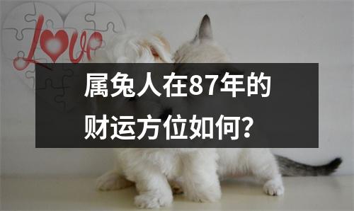 属兔人在87年的财运方位如何？