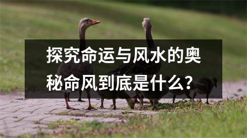 探究命运与风水的奥秘命风到底是什么？