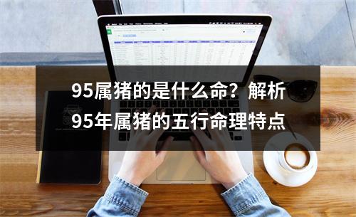 95属猪的是什么命？解析95年属猪的五行命理特点