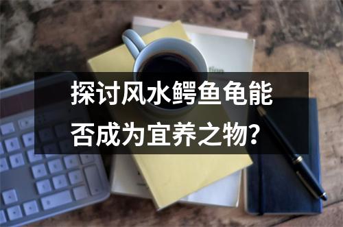 探讨风水鳄鱼龟能否成为宜养之物？