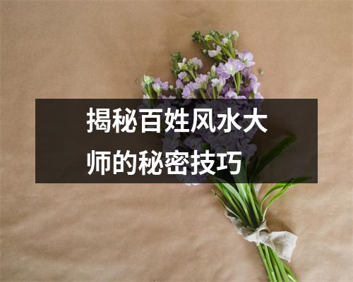 揭秘百姓风水大师的秘密技巧