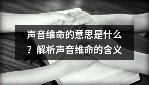 声音维命的意思是什么？解析声音维命的含义