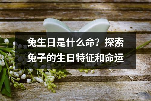 兔生日是什么命？探索兔子的生日特征和命运