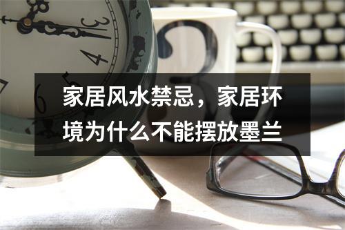 家居风水禁忌，家居环境为什么不能摆放墨兰