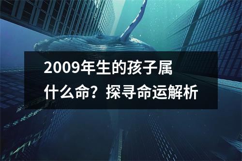 2009年生的孩子属什么命？探寻命运解析