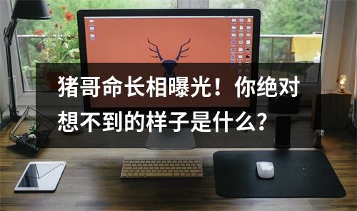 猪哥命长相曝光！你绝对想不到的样子是什么？