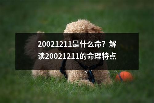 20021211是什么命？解读20021211的命理特点