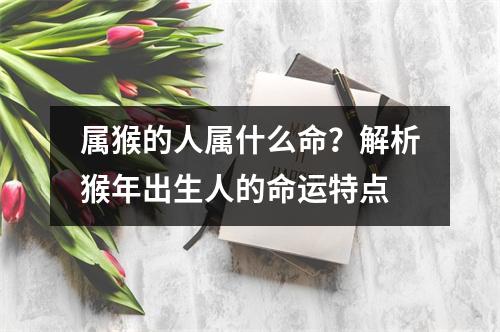 属猴的人属什么命？解析猴年出生人的命运特点