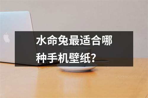 水命兔最适合哪种手机壁纸？
