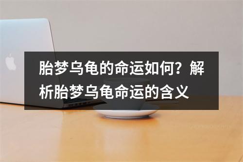 胎梦乌龟的命运如何？解析胎梦乌龟命运的含义