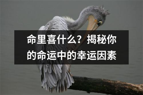 命里喜什么？揭秘你的命运中的幸运因素