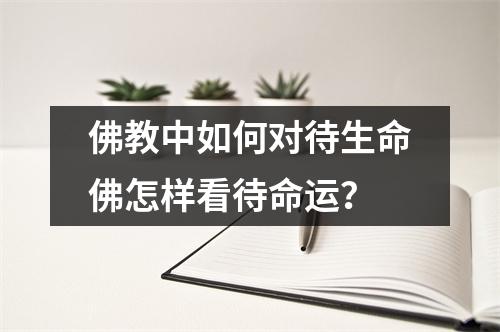 佛教中如何对待生命佛怎样看待命运？