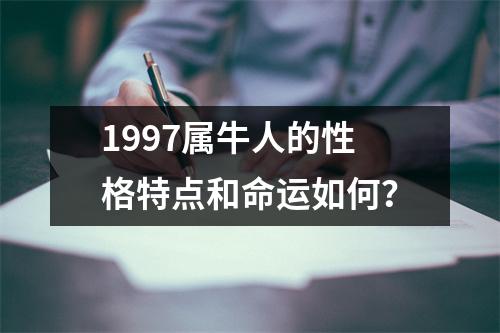 1997属牛人的性格特点和命运如何？