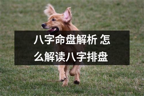 八字命盘解析 怎么解读八字排盘