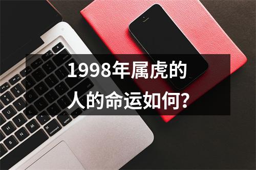 1998年属虎的人的命运如何？