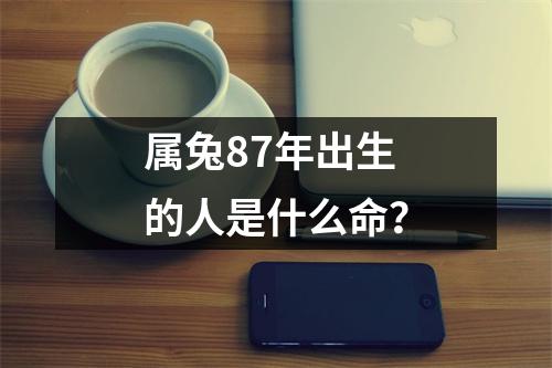 属兔87年出生的人是什么命？