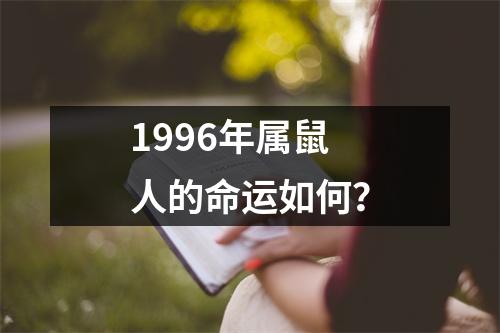 1996年属鼠人的命运如何？