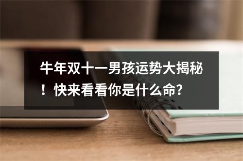 牛年双十一男孩运势大揭秘！快来看看你是什么命？