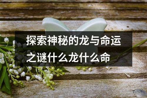 探索神秘的龙与命运之谜什么龙什么命
