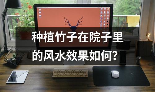 种植竹子在院子里的风水效果如何？