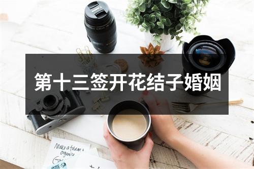 第十三签开花结子婚姻
