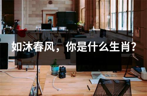 如沐春风，你是什么生肖？