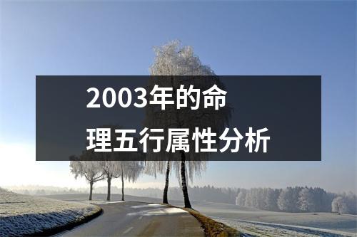 2003年的命理五行属性分析