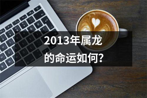 2013年属龙的命运如何？